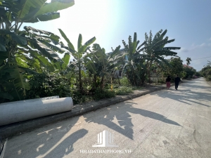 Cần bán lô góc 1339m2 đường 7m Hữu Bằng, Kiến Thụy, Hải Phòng.